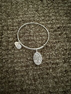 Alex and Ani Silver Floral Oval Charm Bangle